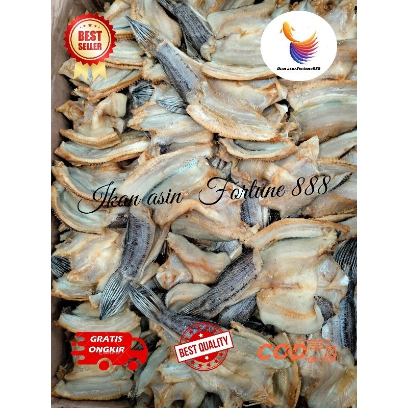 

Ikan Asin Gabus Toman Asli Kalimantan Kualitas Premium 500 gram, 1000 gram