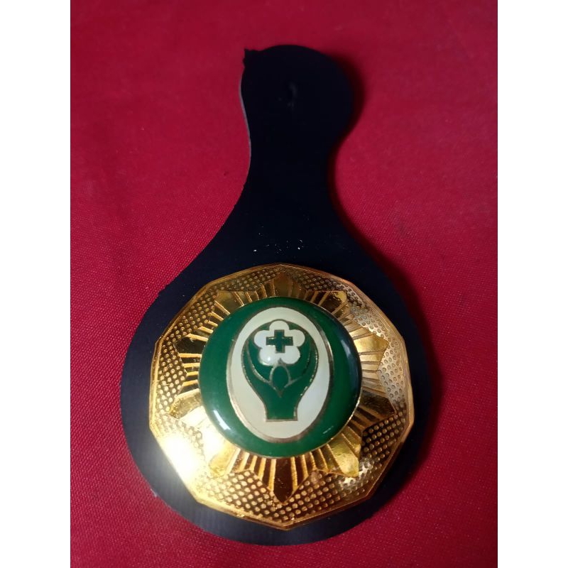 tanjab mabicab saka bakti husada