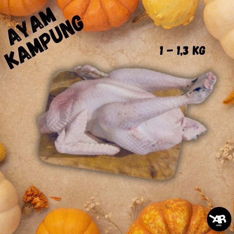 

Ayam Kampung Potong Segar Utuh Berat 1 - 1,3 Kg (Tanpa Jeroan)