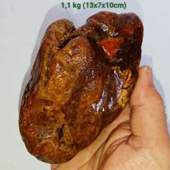 batu fosil mani gajah madu full kristal (221)