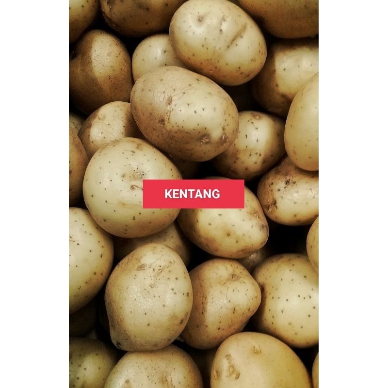 

KENTANG 500 GRAM