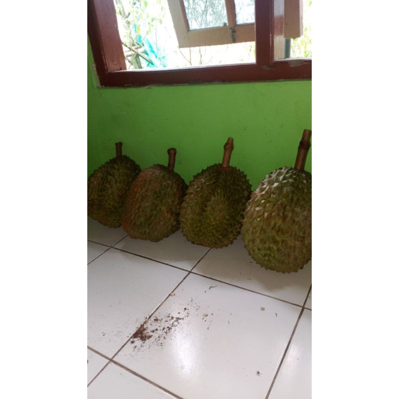

Duren Durian Montong Bawor Banyumas Segar Berat 3,4 - 4 Kg Murah Manis Garansi Full