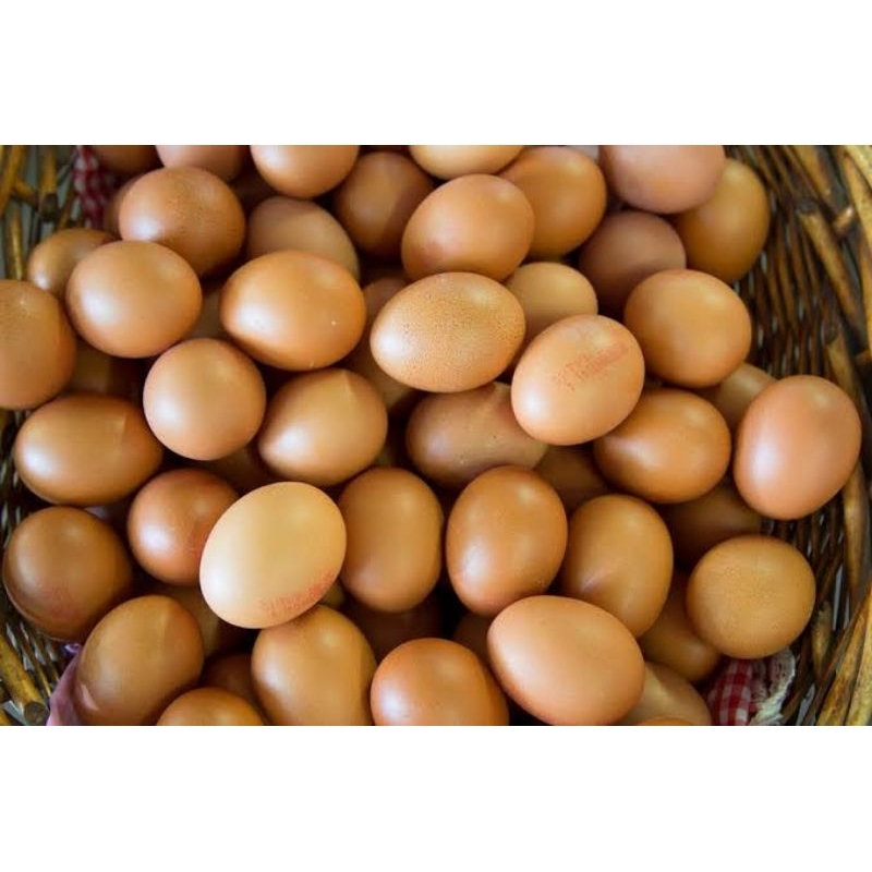 

telur ayam 1 peti
