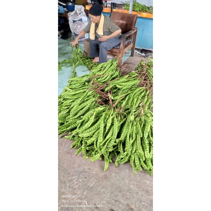 

pete daerah,pete pendek..isi 10 papan/pc/buah