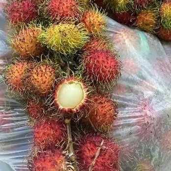 

Rambutan Binjai Raja Buah Bandung