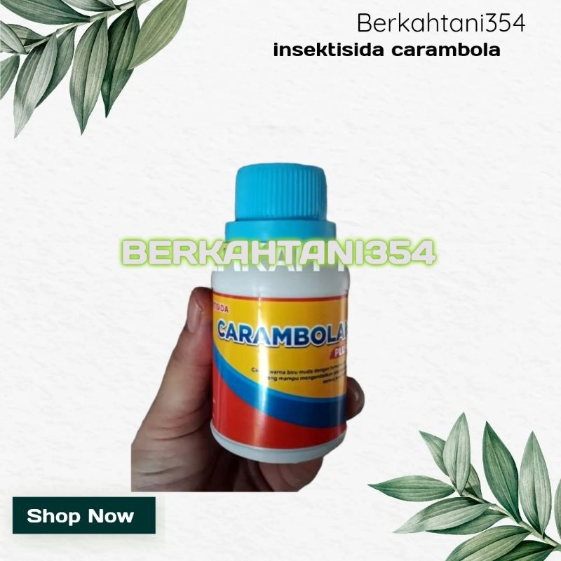 insektisida carambola obat lalat buah carambola jebakan lalat ( Petrogenol )