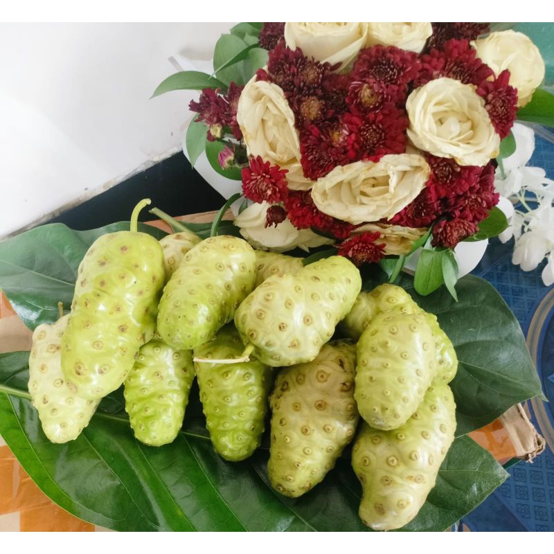 

BUAH MENGKUDU 1kg(Dipetik saat mau dikemas)