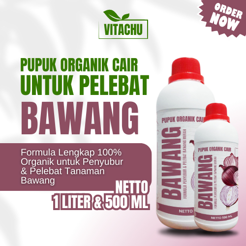 Pupuk Bawang Merah Pupuk Penyubur Tanaman Bawang Pelebat Pembesar Umbi Bawang Perangsang Umbi Bawang