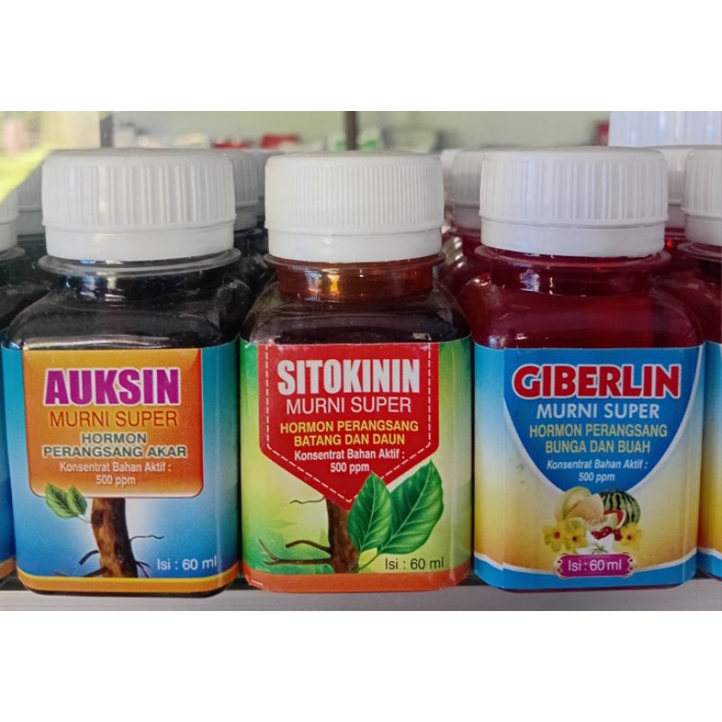Hormon Perangsang Akar Batang Daun (Auxin Sitokinin Giberilin) 60 ml