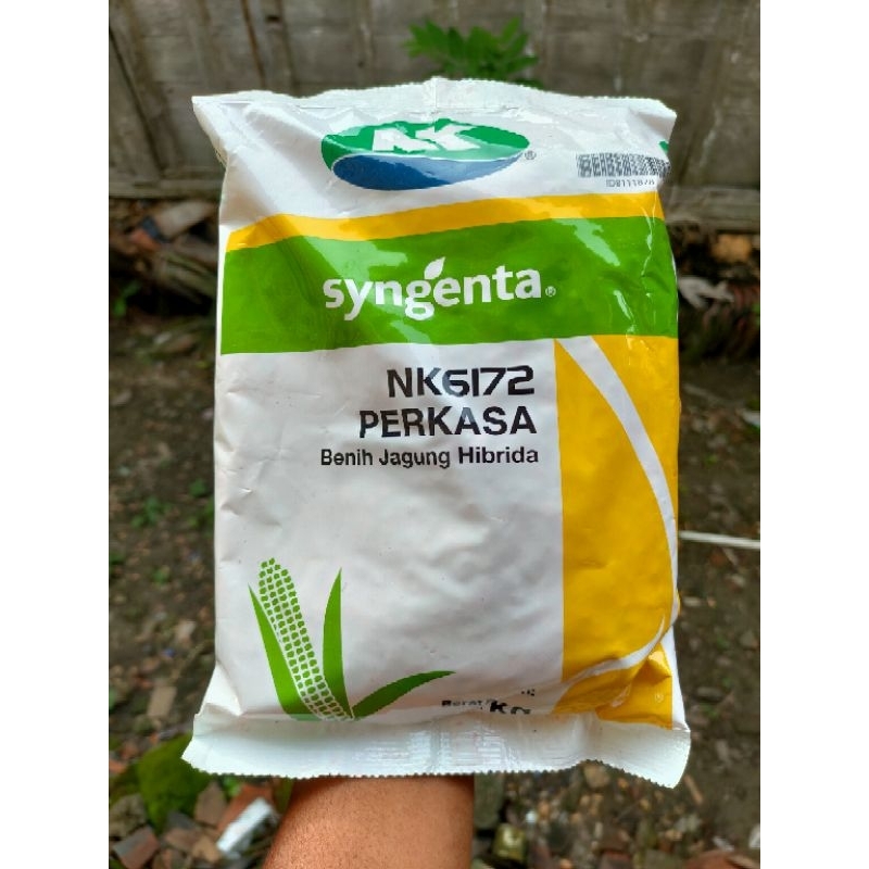 Benih Jagung NK 6172 NK Perkasa Original