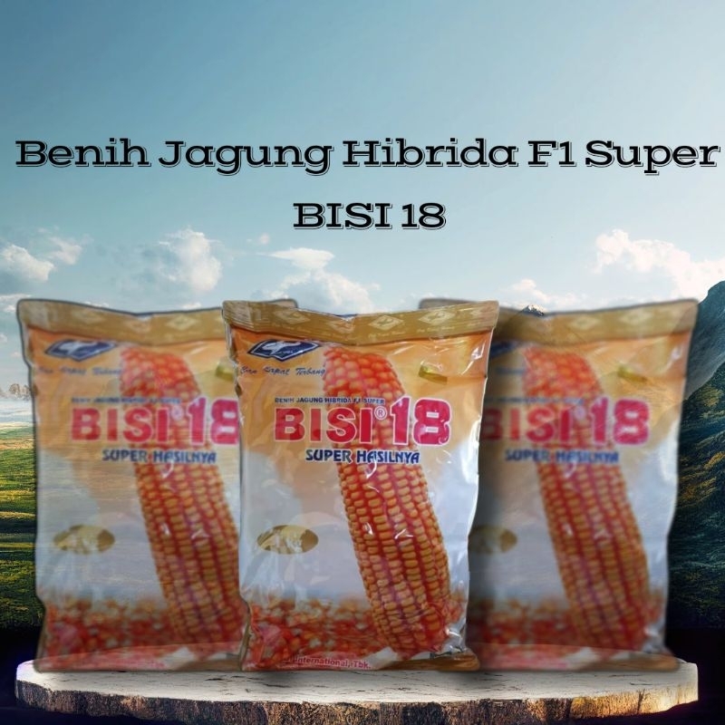 Benih Jagung Hibrida F1 Super Bisi 18