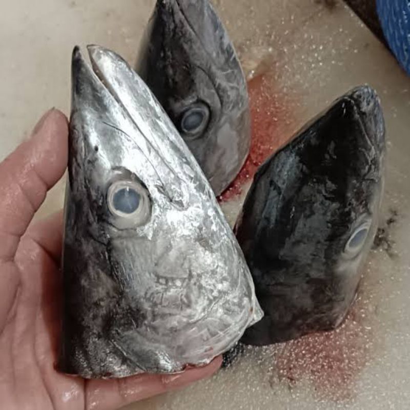 

Frozen Kepala Ikan Tenggiri