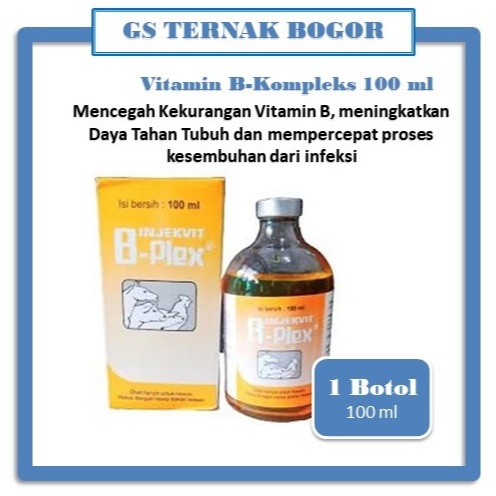 Vitamin B Kompleks Medion 100 ml Injeksi (Vitamin Ayam/Kambing/Sapi)