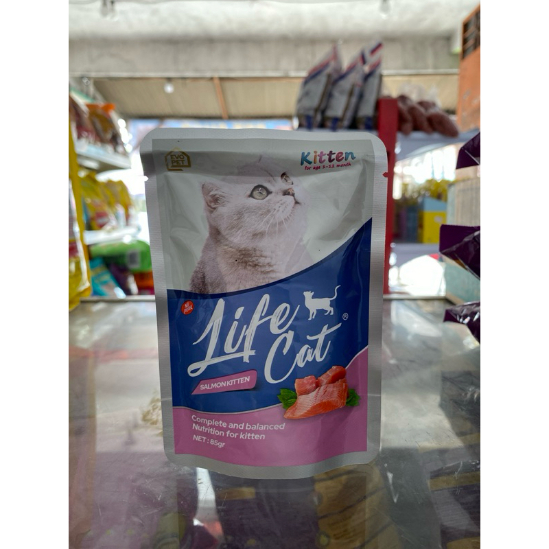 Life Cat Salmon Kitten