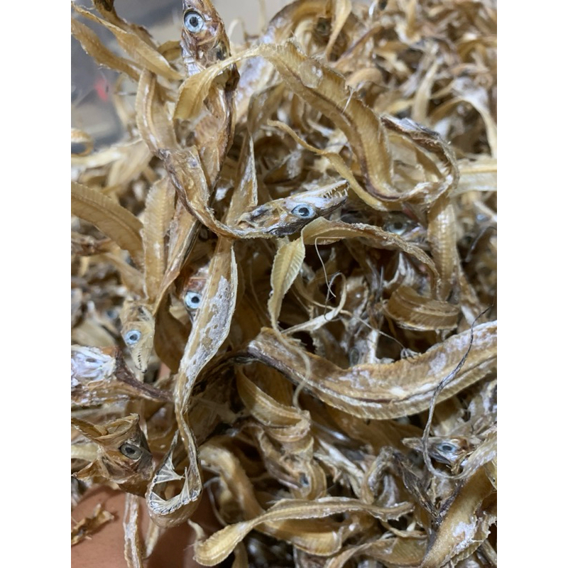 Ikan Layur Kecil Tawar