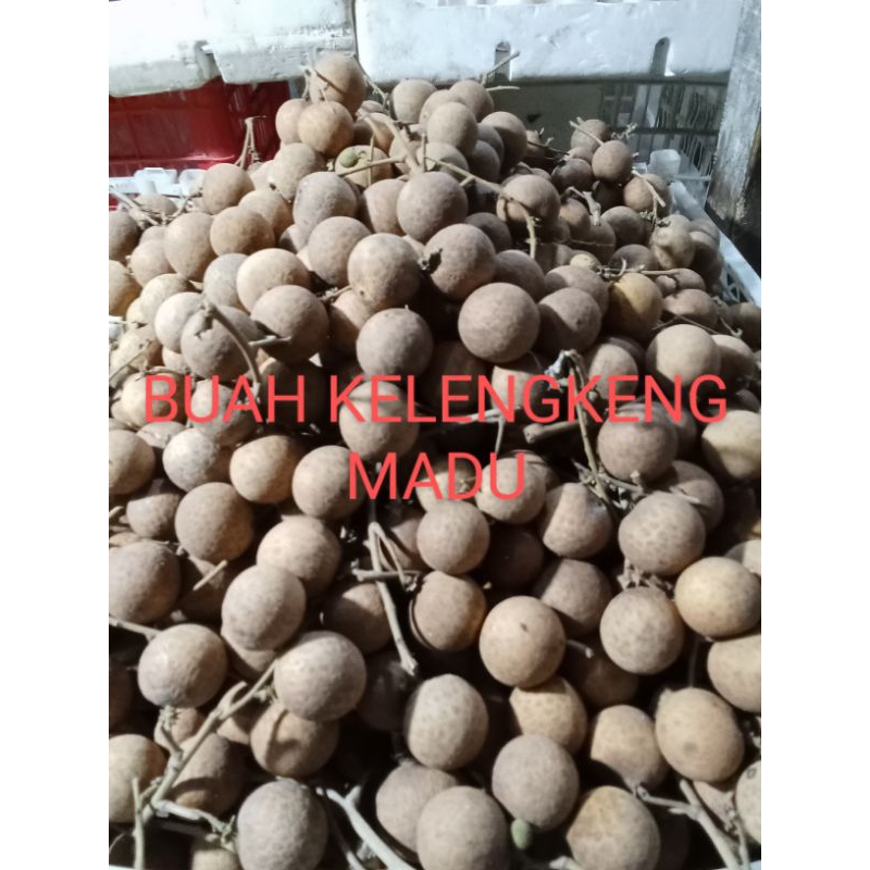 

satu kilo gram buah kelengkeng segar