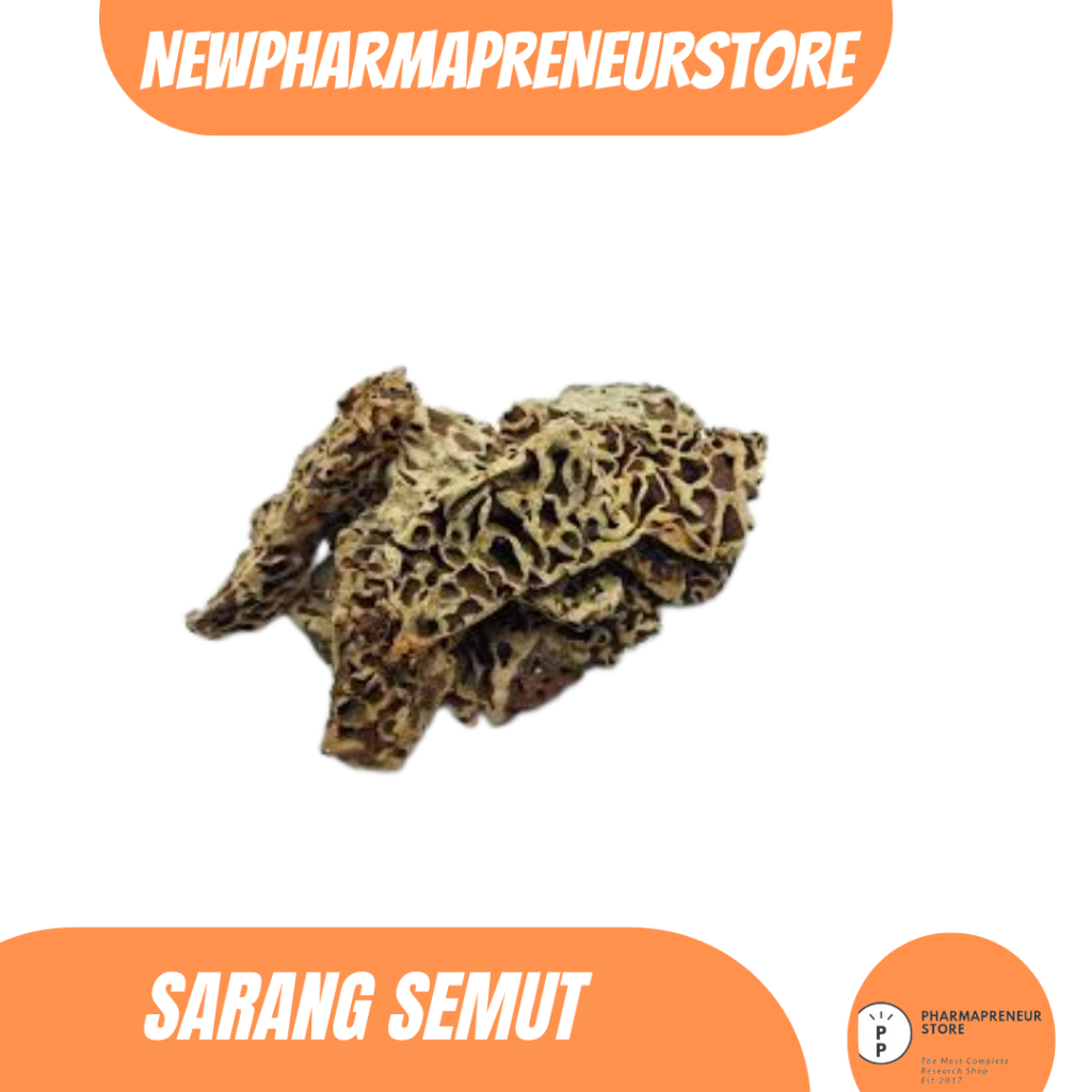 

DRIED SERBUK SARAN SEMUT BEST QUALITY