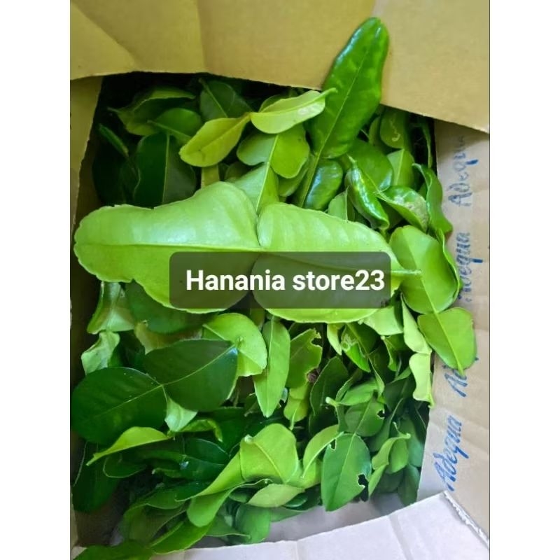 

DAUN JERUK SAYUR UNTUK MEMASAK PER BUNGKUS
