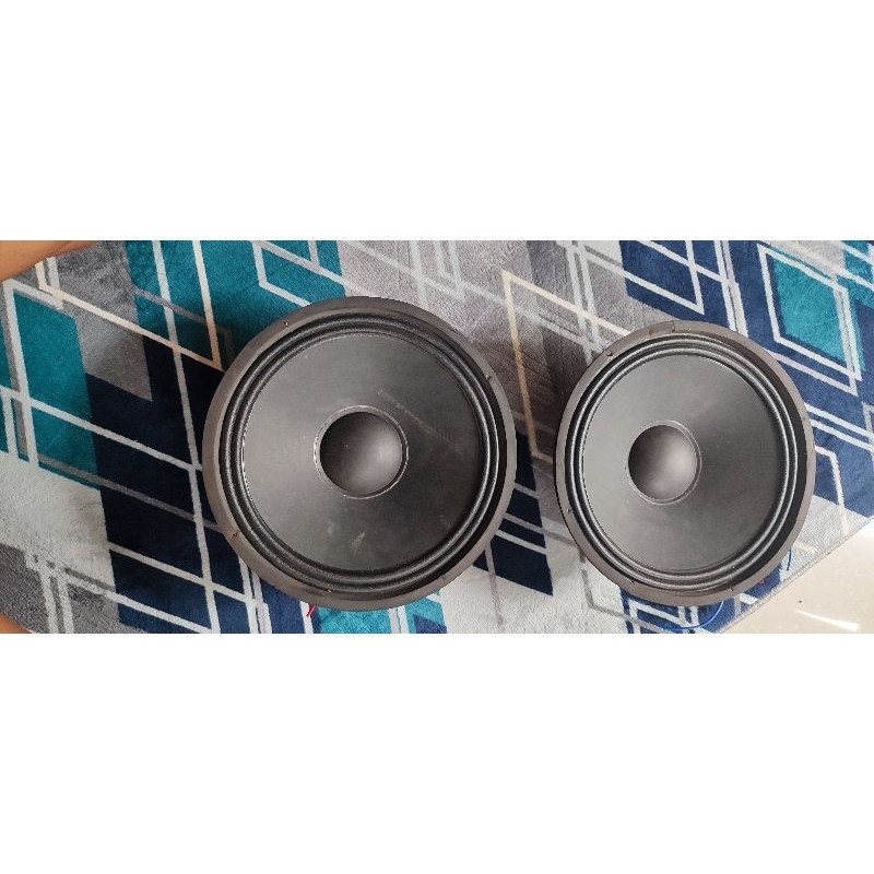 SPEAKER MIDEL 10IN RRT