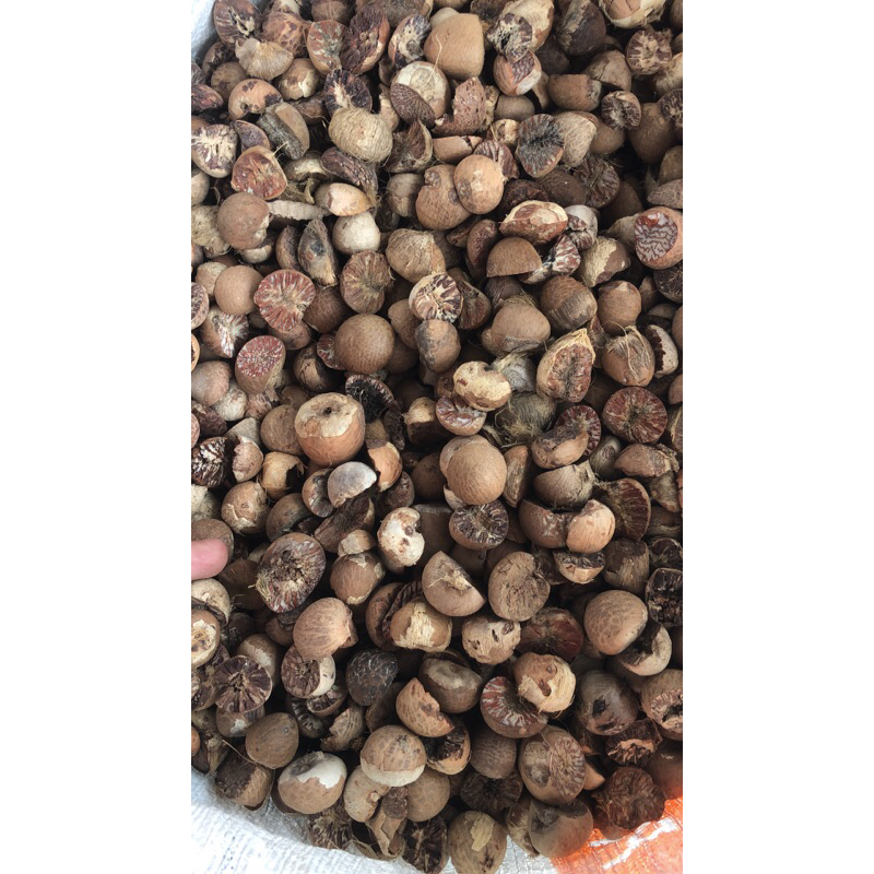 

PINANG BELAH MASAK KERING ASALAN BAGUS 5kg