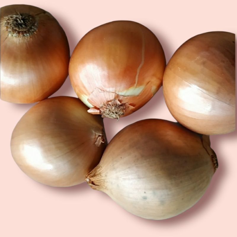 

bawang bombay