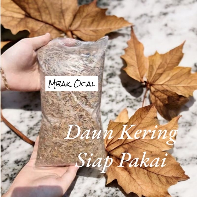 

Daun Kering Siap Pakai Mbak Ocal 100 gram