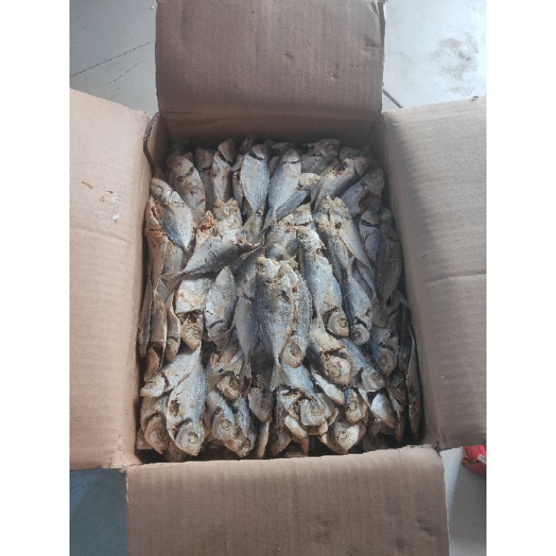 

PAKET HEMAT IKAN ASIN CUMAN 5000 SELAR REBUS KEMASAN 100GR