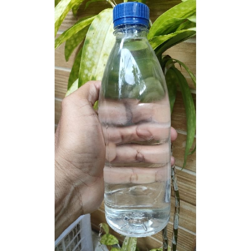 

BotolCantik40PersenOriginal
