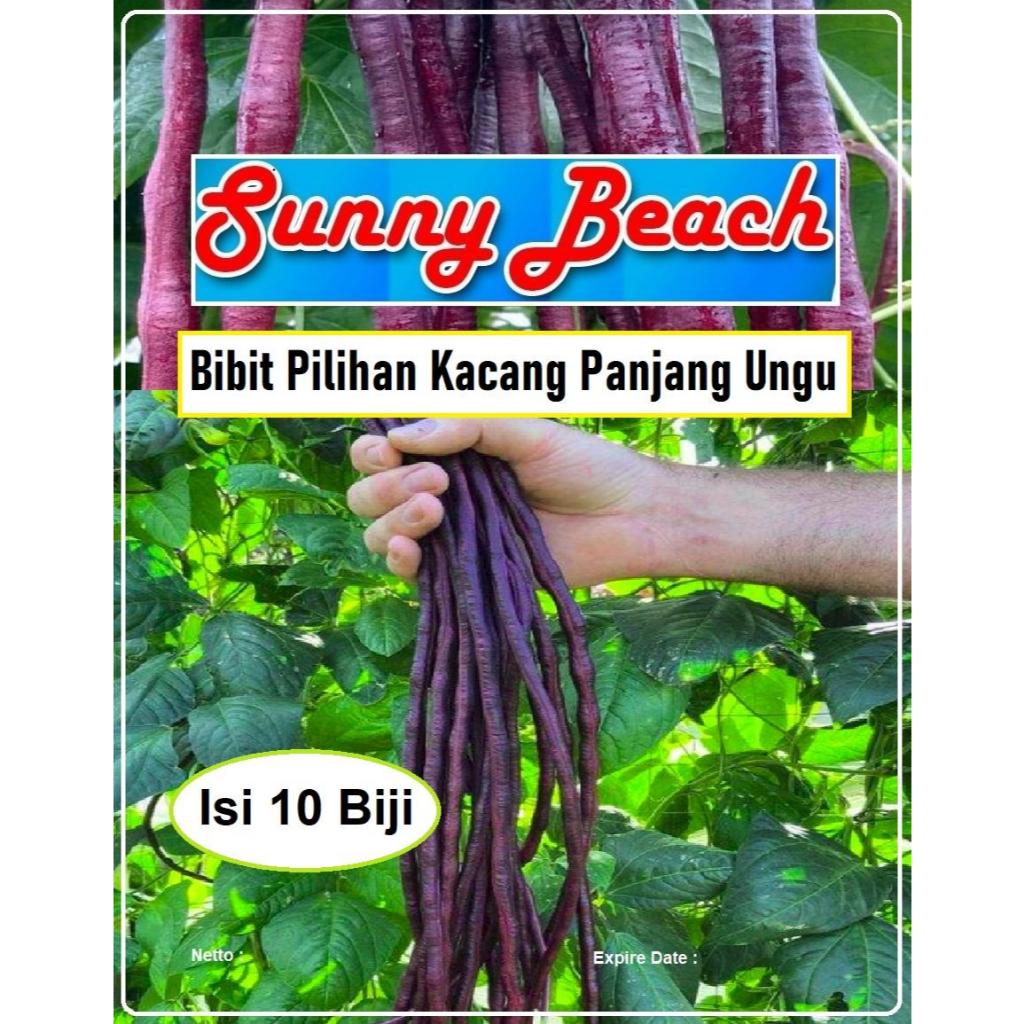 Bibit Pilihan Kacang Panjang Ungu | Biji Benih Kacang Panjang Ungu