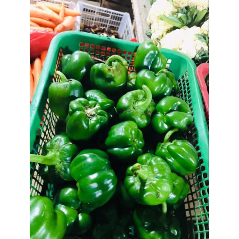 

Paprika Hijau