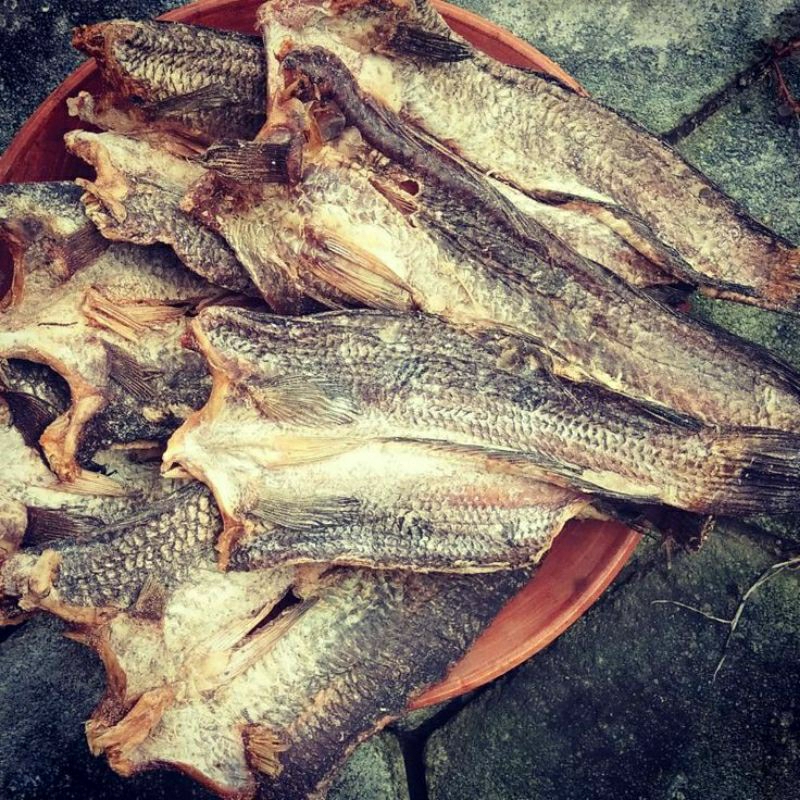 ikan gabus/bogo/deleg asap/asin tanpa pengawet 500 gr