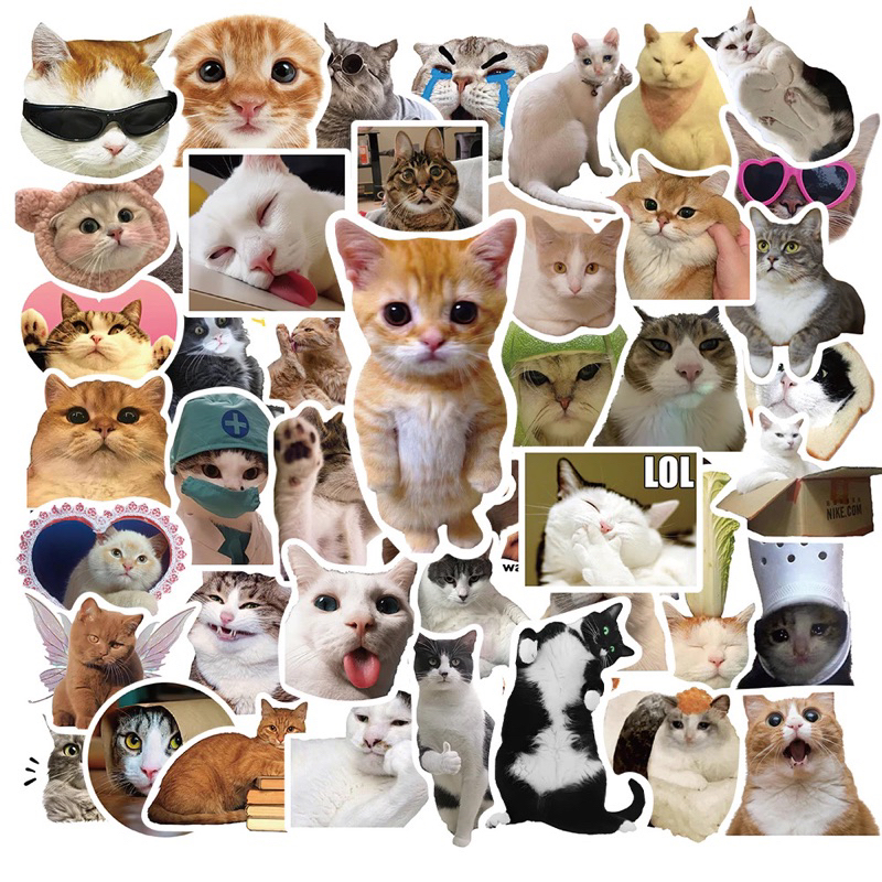 

50 pcs Sticker / Stiker / Tempelan Kucing lucu