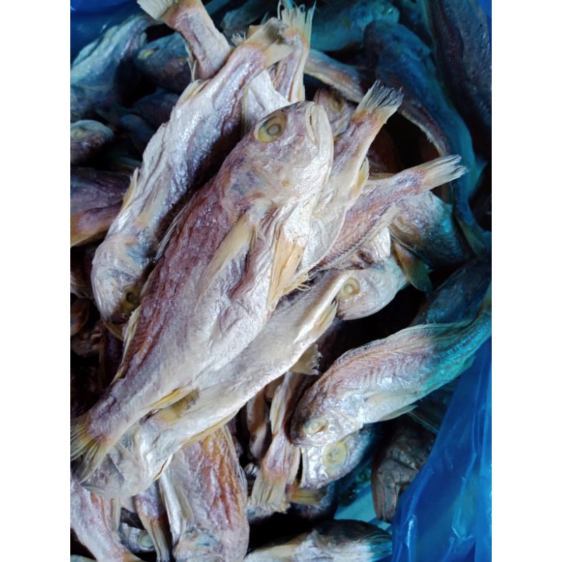 

Ikan Asin Kering (Gulamo)