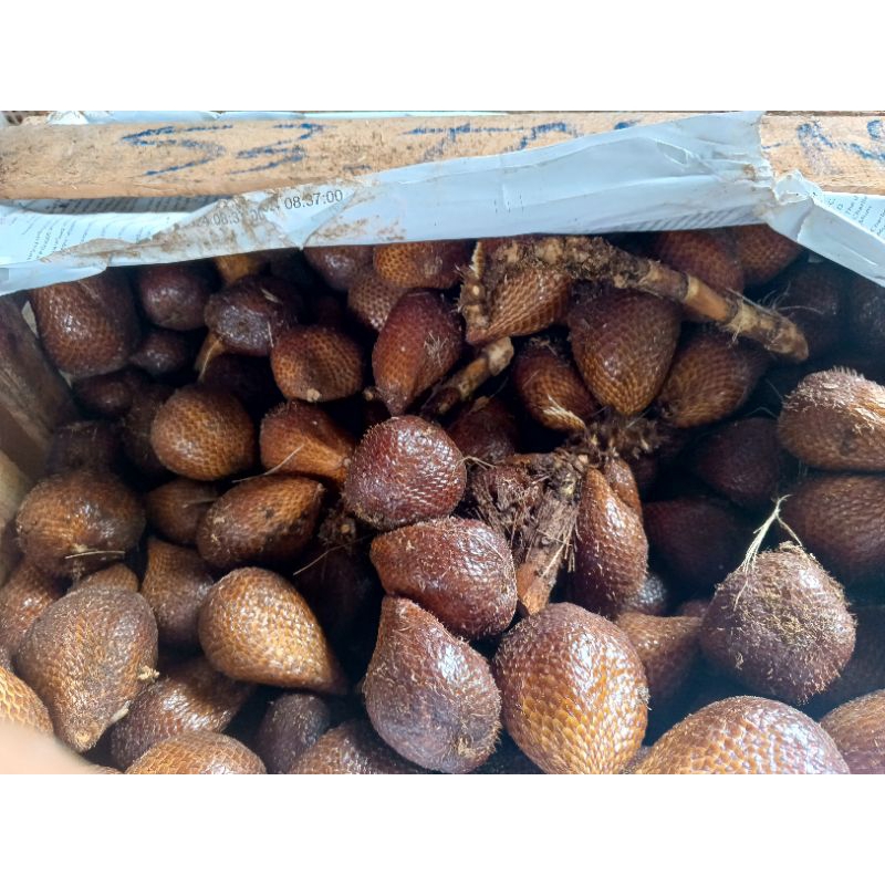 

Salak Pondoh 500 gram