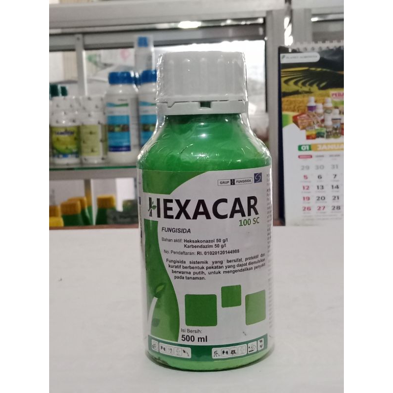 Fungisida HEXACAR 100SC 1ltr  Sistemik mengatasi penyakit bercak daun pada cabe melon