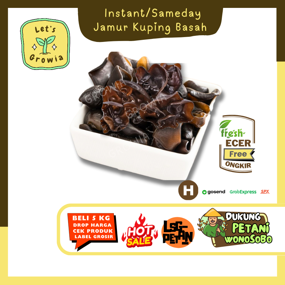 

Growia || Jamur Kuping Basah -- Hasil Petani Langsung Ecer (H)