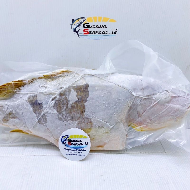 

Ikan Kakap Merah 600 up gram