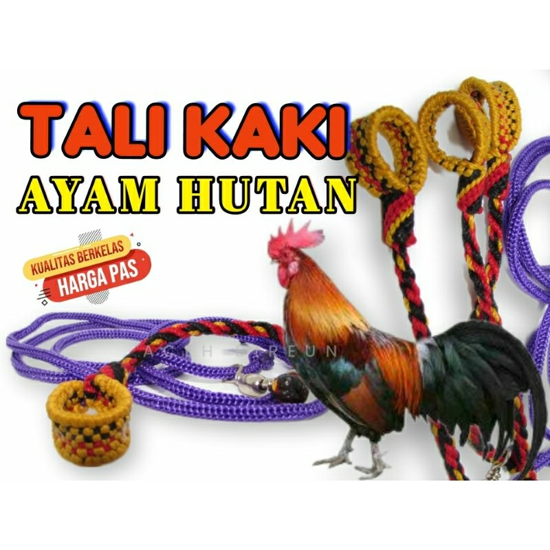 tali angklet ayam hutan