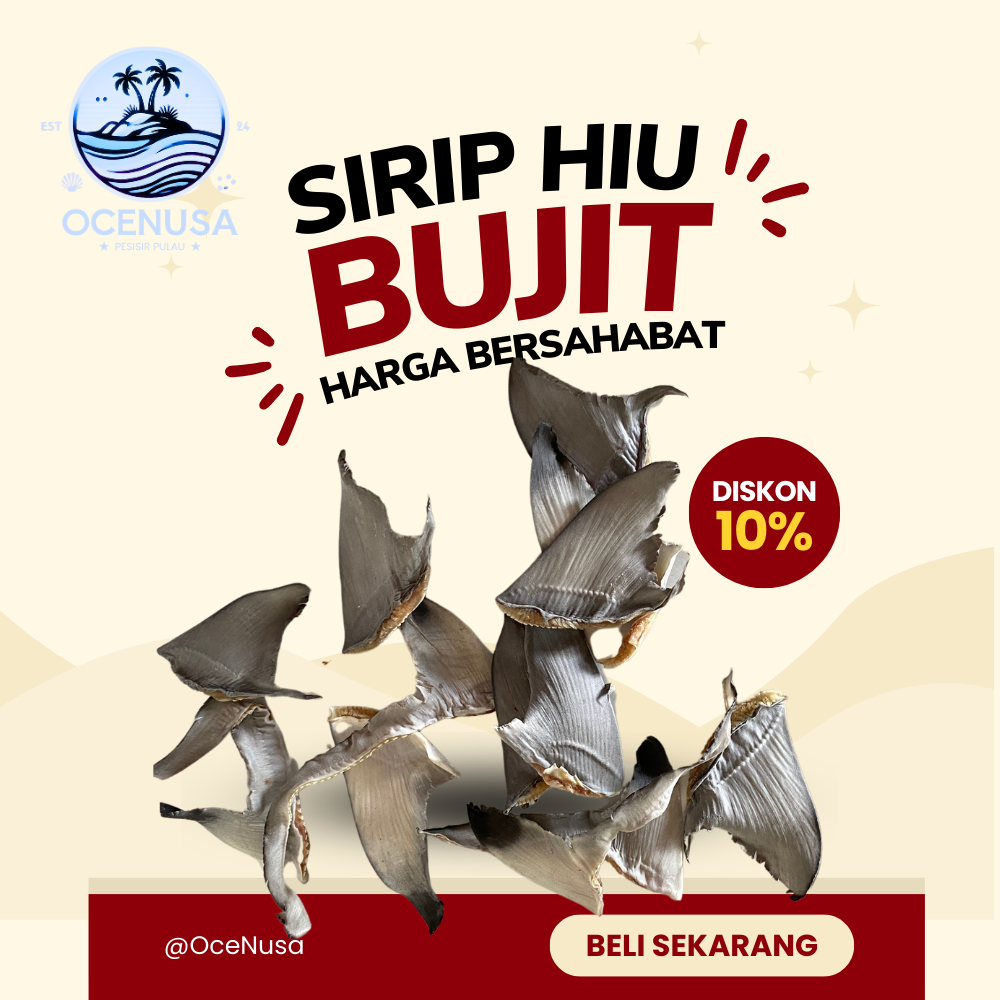 

Sirip Hiu Bujit Kering 500gr - 1kg