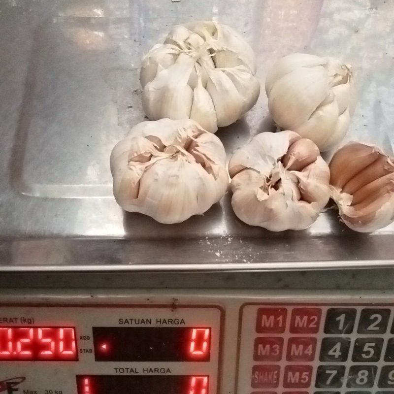

bawang putih 250gr