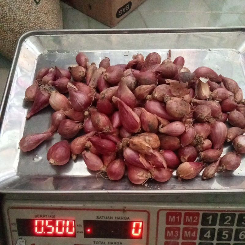 

bawang merah 500gr