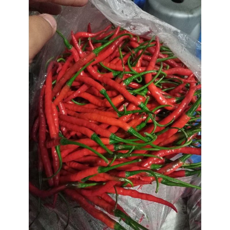 

CABE MERAH KERITING 500g
