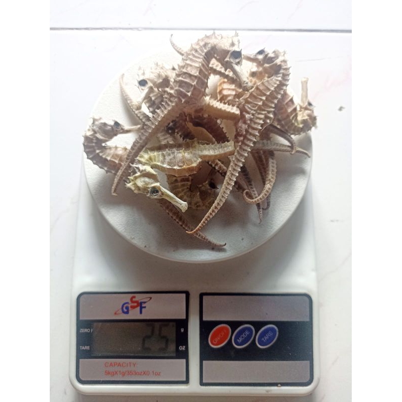 

kuda Laut Kering Asli dari Laut Jawa 100% Original 25gram