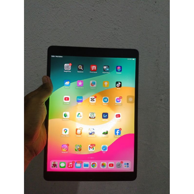 Ipad Pro 10.5 inch 2017 256gb