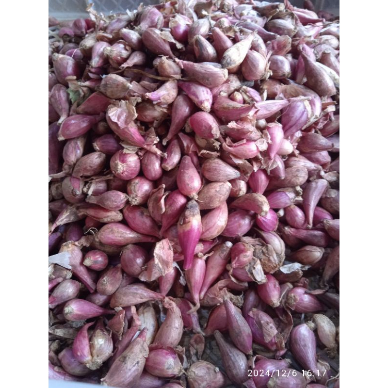 

BAWANG MERAH KECIL 1Kg