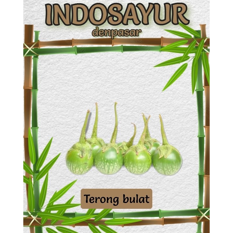 

Terong bulat / bundar _ INDOSAYUR