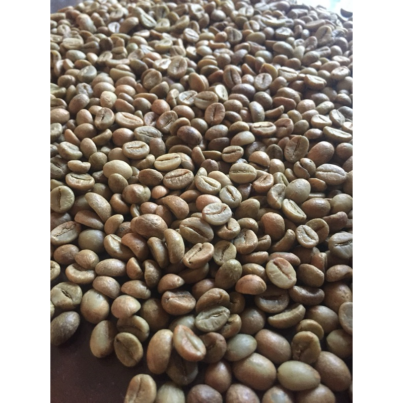

GreenBean Robusta