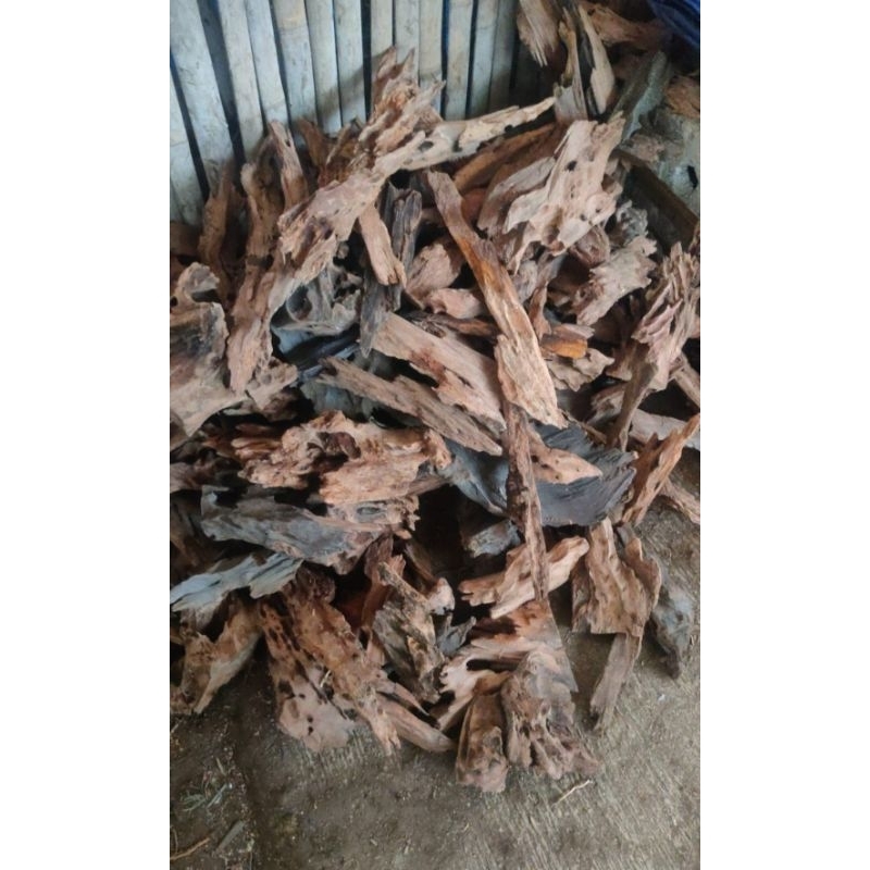 kayu rentek aquascape