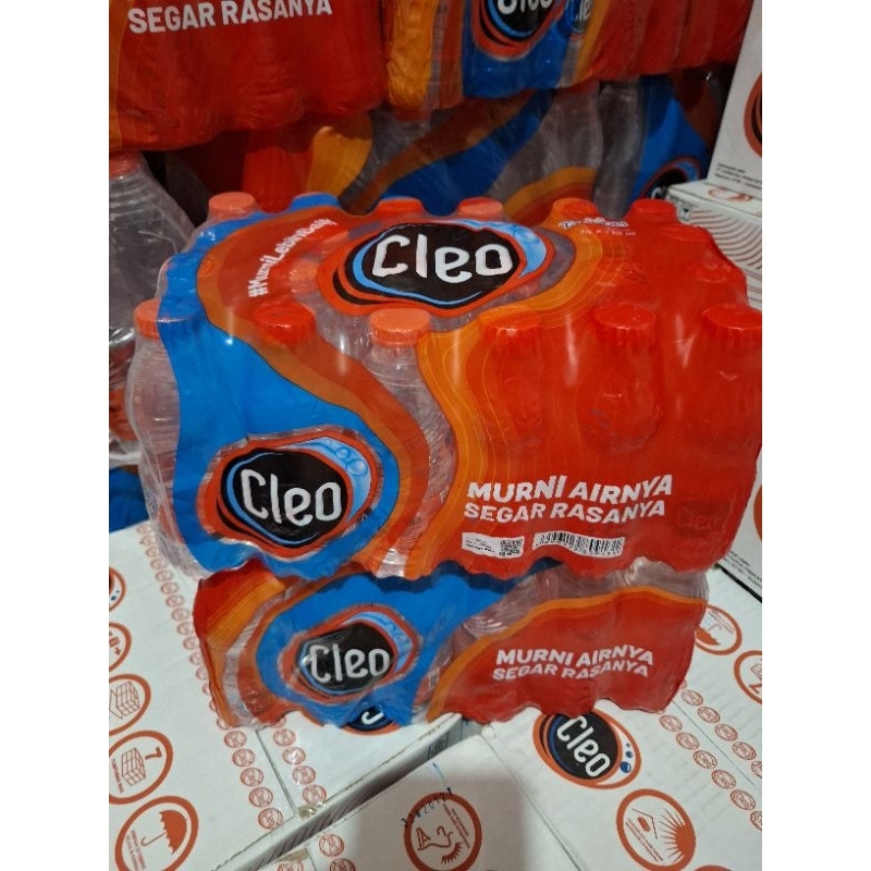 

CLEO MINI 220ML (ISI 24 BOTOL)