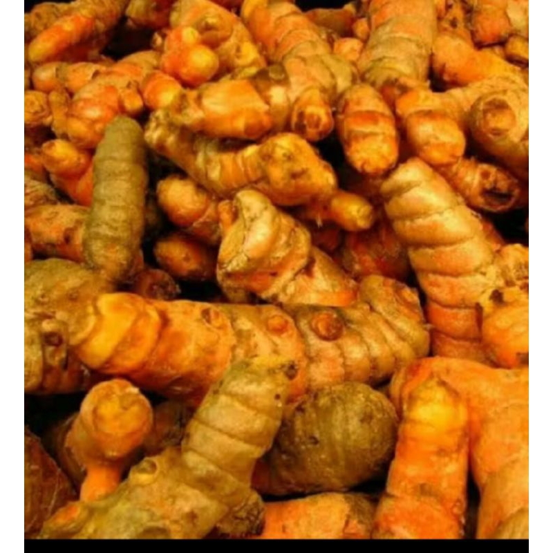 

Kunyit kuning segar 1 kg